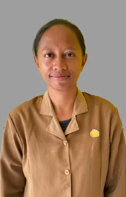 YOSEFIN VERMIANA MINA, ST